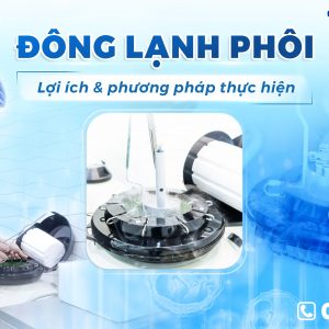 Đông lạnh phôi là gì? Quy trình thực hiện và lợi ích khi đông lạnh phôi