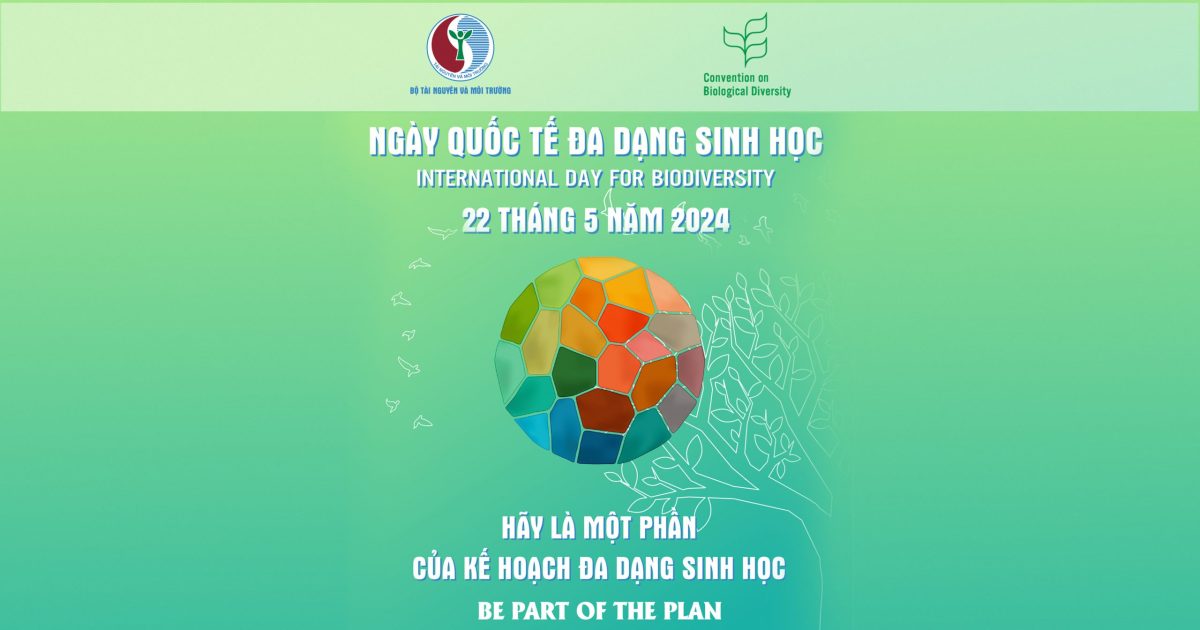04.06WEBHUONGUNGNGAYSH copy