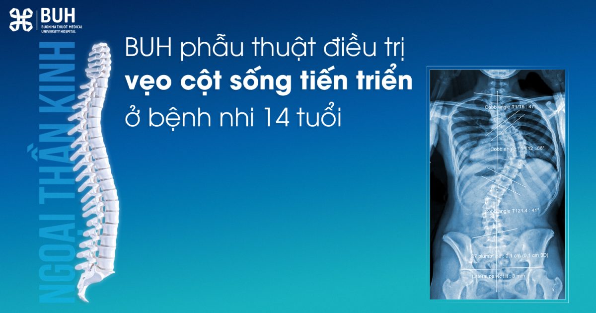 WEB copy (1)