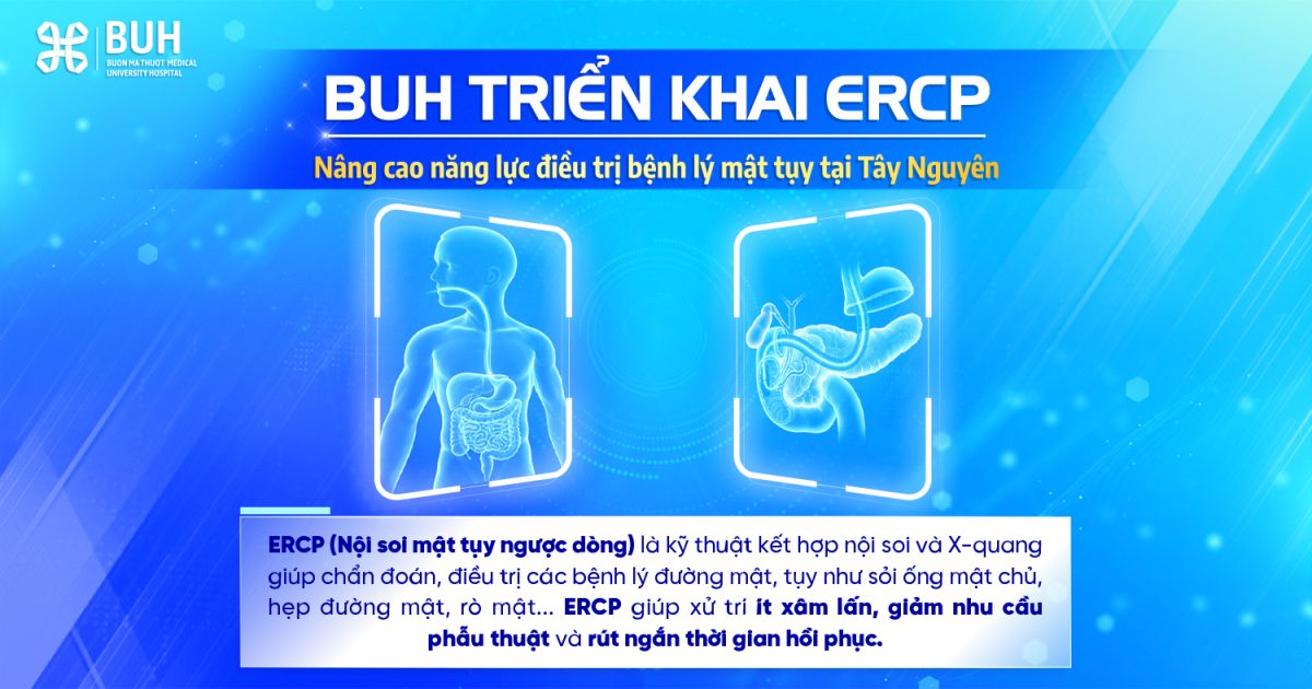 WEB1 copy (1)