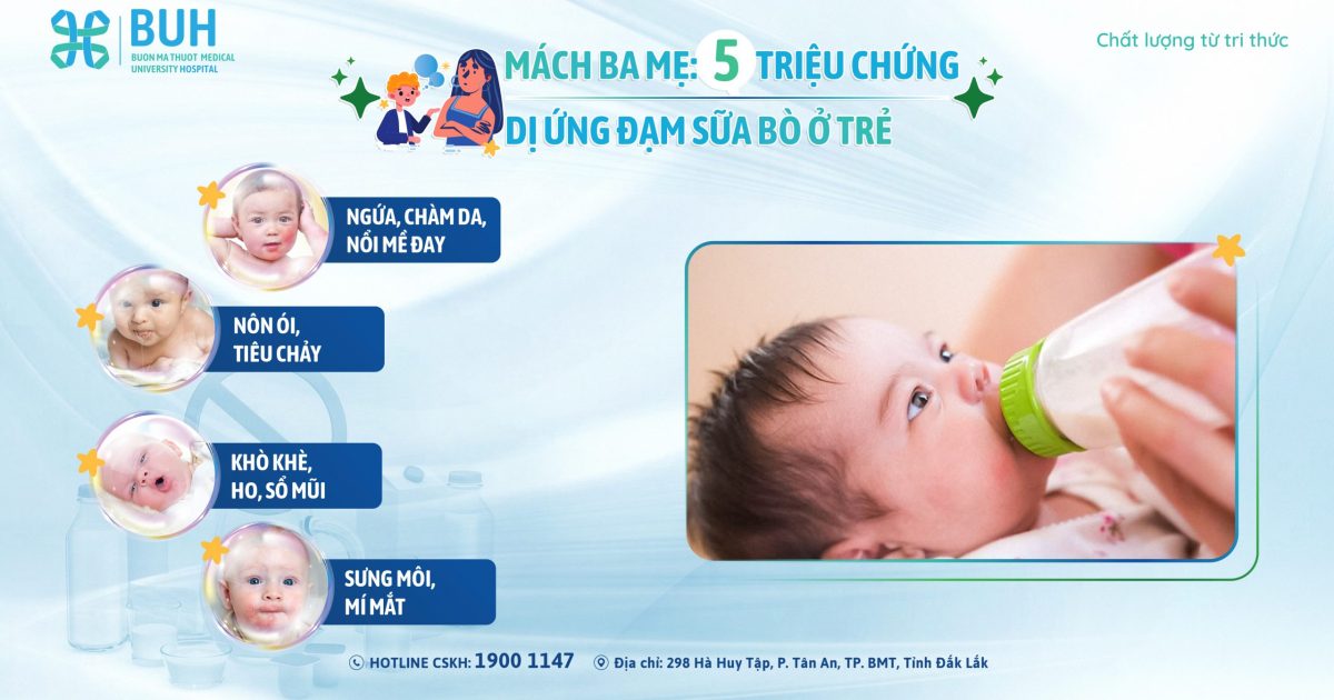 web đạm